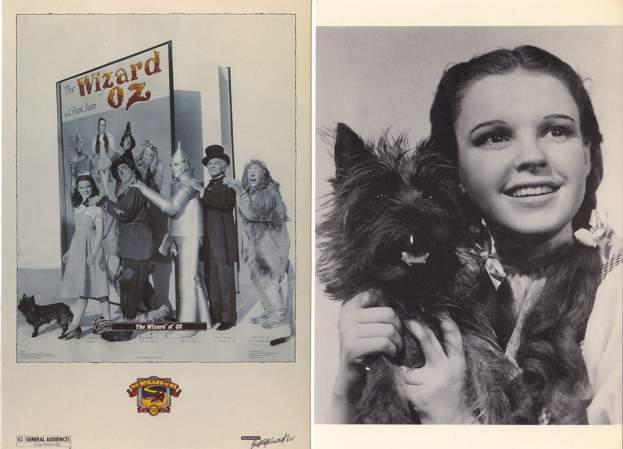 wizard of oz dorothy. (2 cards) Wizard of Oz