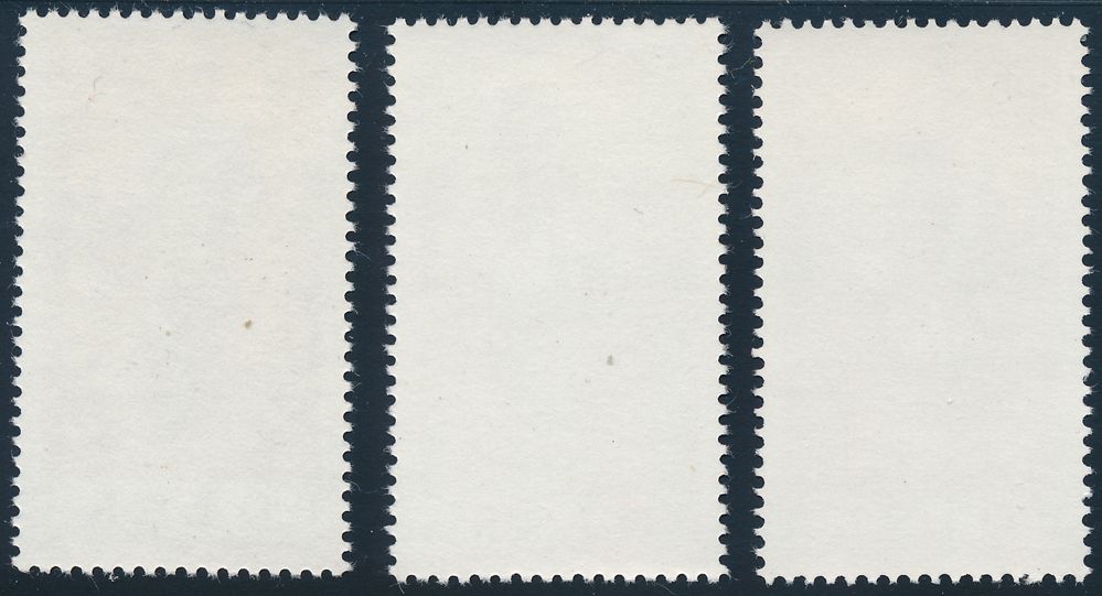 501Poland2776C.jpg